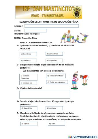 Educacion fisica