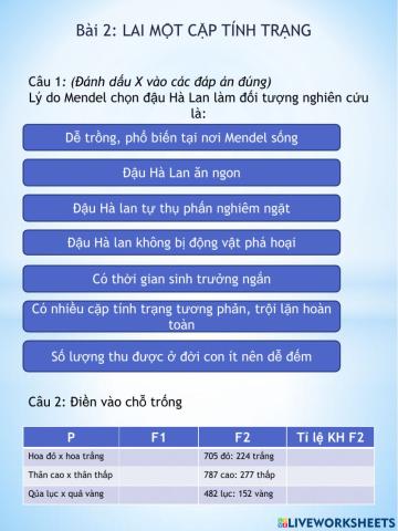 Sinh 9. Bài 2+3. LAI MỘT CẶP TÍNH TRẠNG