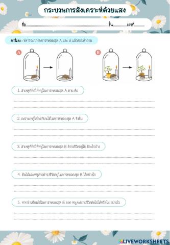 กระบวนการสังเคราะห์ด้วยแสง