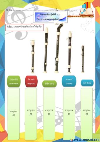 ใบงานประเภทขลุ่ยรีคอร์เดอร์