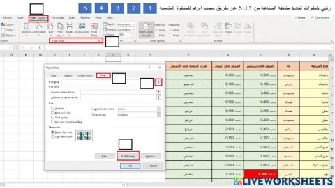 Print preview Excel