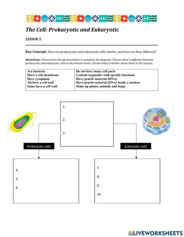 Eukaryotic vs Prokaryotic Cells