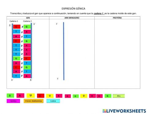 Expresión de genes