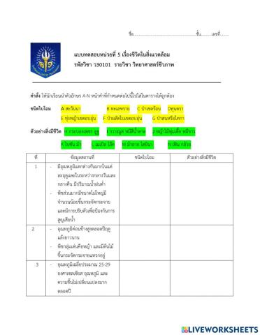 แบบทดสอบบทที่5