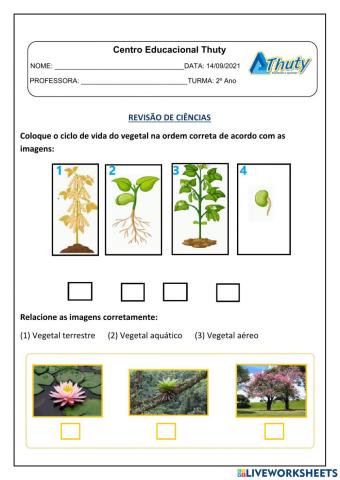 14-09 Revisão de Ciências