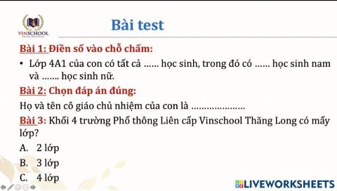 Bài test