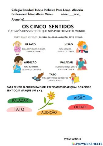 Os cinco sentidos