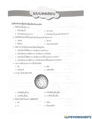 แบบทดสอบการดำรงชีวิตของพืช