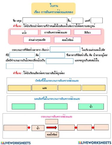 การสังเคราะห์ด้วยแสงของพืช