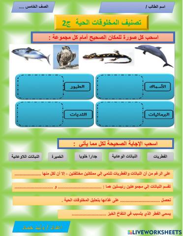 تصنيف المخلوقات الحية ج2