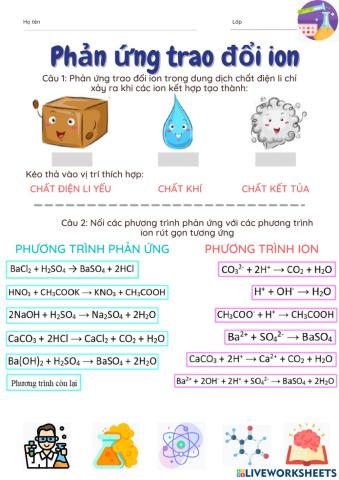 Phản ứng trao đổi ion