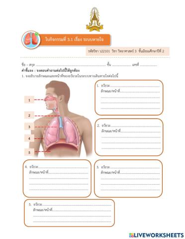 ระบบหายใจ