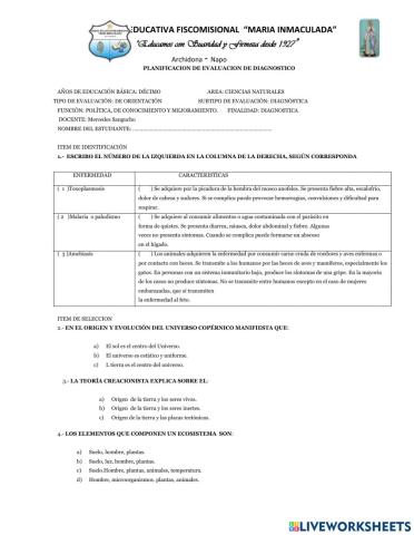 Evaluación diagnostica Décimo