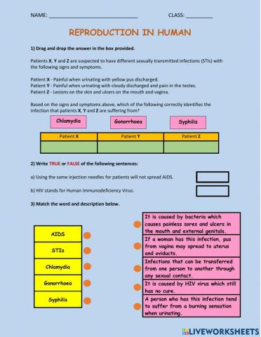 Sexually Transmitted Infections (STIs)