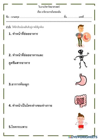 อวัยวะภายในตัวฉัน