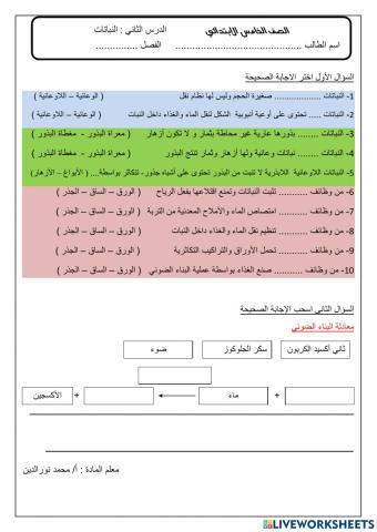 النباتات