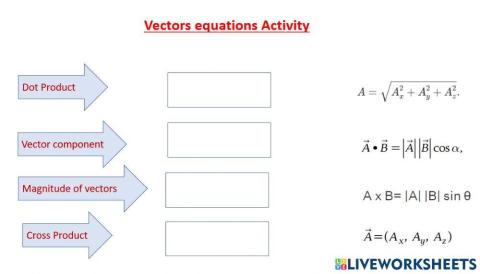 Vectors