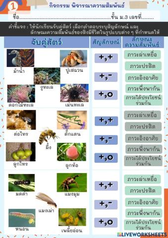 ความสัมพันธ์ระหว่างสิ่งมีชีวิตกับไม่มีชีวิต