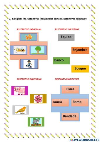 Sustantivo individual y colectivo