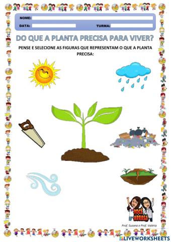 Do que a Planta Precisa para Viver?