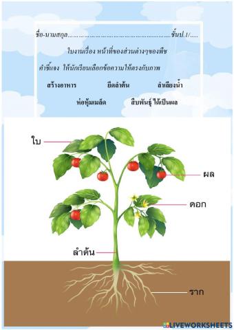 จับคู่