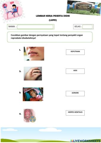 LKPD Penyakit Organ Reproduksi