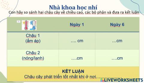 Khoa học tuần 4