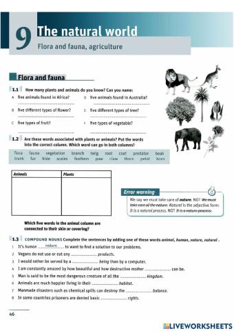 Cam vocab 9 - the natural world