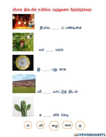 இடையினம்