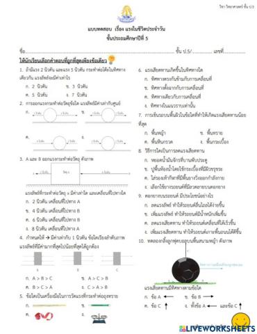 แรงในชีวิตประจำวัน ป.5