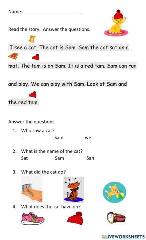 Consonants M -S-T and Short Vowel A Reading passage