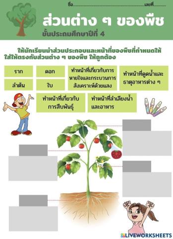 วิทยาศาสตร์ ป.4 20-24 กันยายน 2564