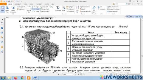 Навчны дотоод бүтэц