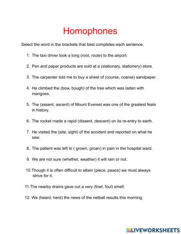 Vocabulary- Homophones