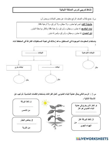 المملكة النباتية