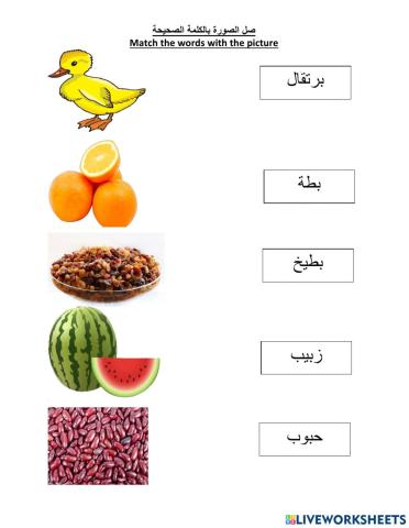 درس البطة