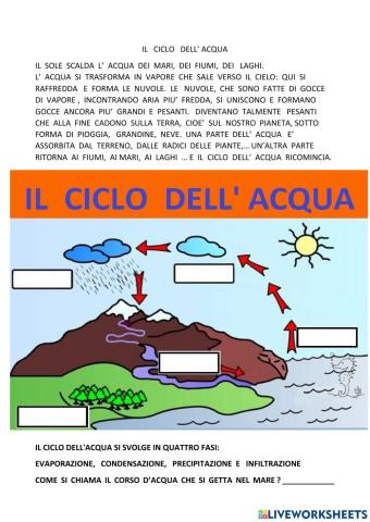 Il ciclo dell' acqua