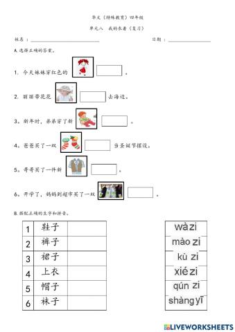 我的衣着（复习）