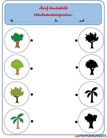 เกมจับคู่ภาพกับเงาต้นไม้