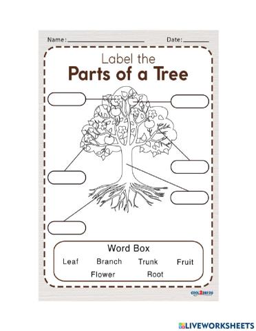 Parts of a Tree