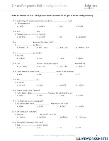 Einstufungstest A1.1 - Schritte Plus