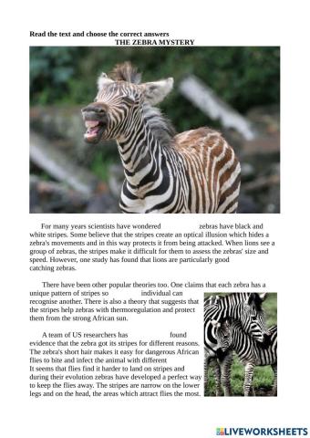 The zebra mystery