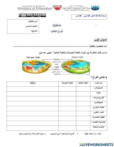 مقارنة تركيب ووظائف الخلايا