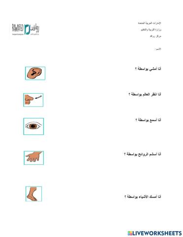 اللغة العربية