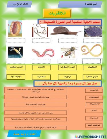 اللافقاريات