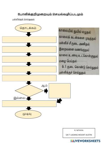 போலிக்குறிமுறையும் செயல்வழிப்படமும்