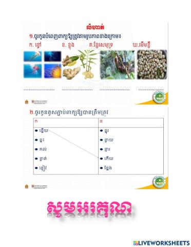 លំហាត់