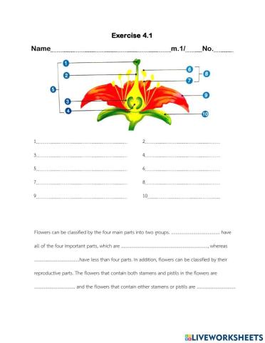 Plant reproduction