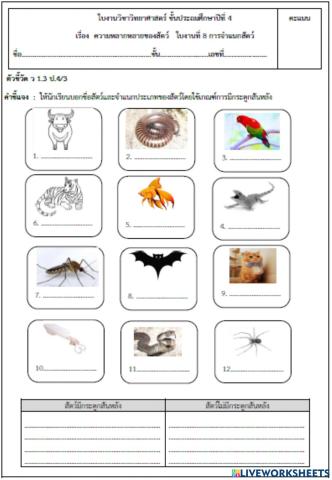 บอกชื่อสัตว์และจำแนกประเภทของสัตว์