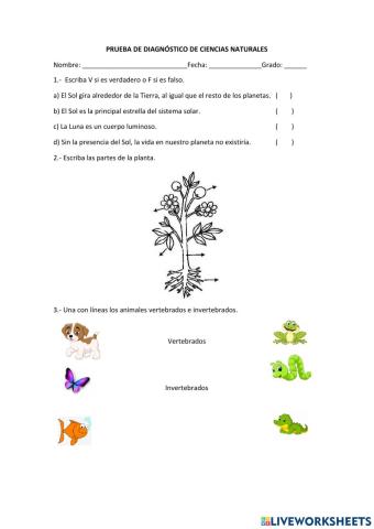 Prueba de diagnóstico de ciencias naturales